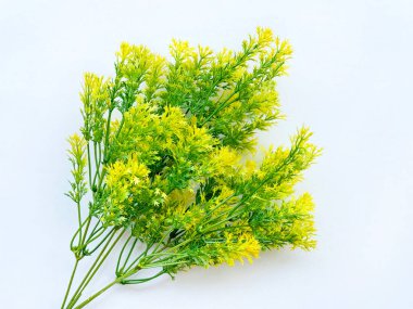 Çiçek düzenleme dekorasyonu için yabani otlar birçok renkte suni dallar. Beyaz arka planda izole edilmiş. Birçok renkte, beyaz, kırmızı, mor ve sarı çim çalıları.