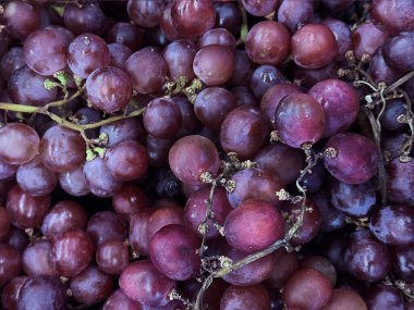 Close up of natural purple grape, fresh and cold stored on a refrigerated basket in a local market. Normal purple grape is a thin skinned fruit with its seed cultivated and grown worldwide. clipart