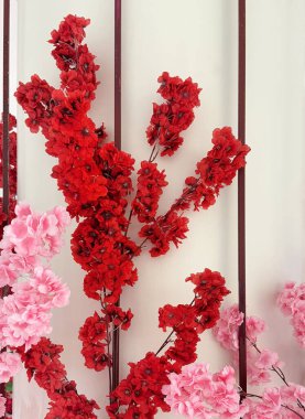 Kırmızı ve pembe renkli renkli renkli ejderha çiçeklerine yaklaş. Beyaz bir arka planda çiçek desenli ejderha süslemesi. Düğün, festival ya da Ay Yeni Yılı için uygun.