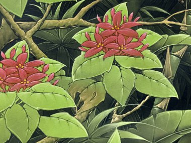 Kırmızı Ixora çingenesini kapatın, bir tür Ixora çiçeği, astropikal iklimde yetişiyor. Ixora bahçıvanlık ve çiçekçilikle ünlüdür. Batı Hindistan 'da Yasemin Çiçeği olarak bilinir..