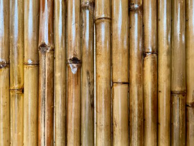 Bambu borularının dokusunu doğal bambu kahverengisi renginde kapatın. Kusursuz arkaplan dokusu.