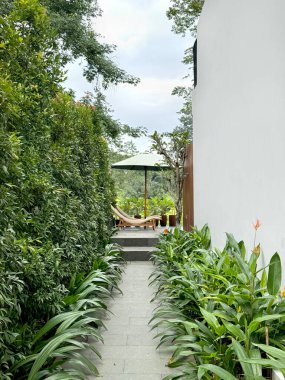 Bahçeye giden doğal koridor, yeşil sarmaşıklar ve tropikal papağanlar gaga bitkisi ya da heliconia psittacorum ve sterlitzia olarak bilinen cennet bitkisi kuşlarıyla dolu. Tropik villa titreşimleri.