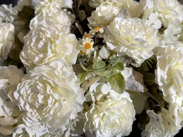 Güzel beyaz şakayık ya da kadife çiçeği aranjmanını kapat. Çiçek desenli pembe kadife çiçeği dikişsiz arkaplan dokusu.