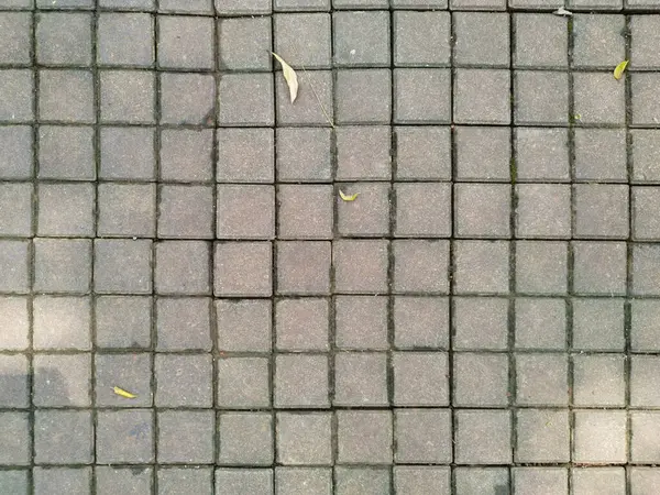 Gri kare kaldırım taşını kapatın. Açık havada, mozaik fayanslar, pürüzsüz arkaplan dokusu. 