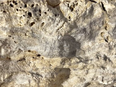 Oyulmuş doğal çiğ kireç taşına ya da kireç bezi rengi mercan taşına yakın durun. Kireçtaşı yol ve inşaat ve inşaatlarda kullanılan popüler bir taştır. Mineral deseni, pürüzsüz doku..