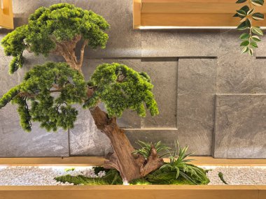 Beyaz bir çakıl taşı zeminine yerleştirilmiş bonsai vazolarını kıvrımlı masa lambalarıyla kapatın. Japon temalı iç tasarımında bitki bonsai dekorasyonu. Zen Japonca ve zarif çağdaş stil.