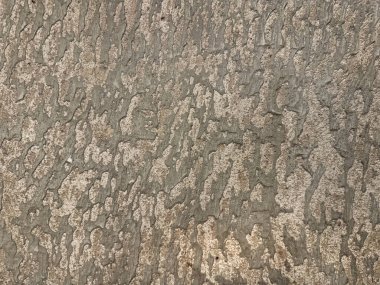 Soyut grunge ve kabuk desenli gri renkli rastgele kumaş dokusu. Rastgele yıkanmış halı dikişsiz arkaplan dokusu