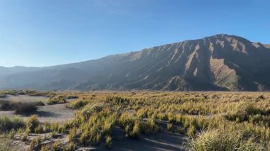 4k footage view of beautiful sand valley savannah with lush vegetation, hills, and mountain at the back. Under a sunny sky. Located at the Mount Bromo caldera. Beauty of nature. 