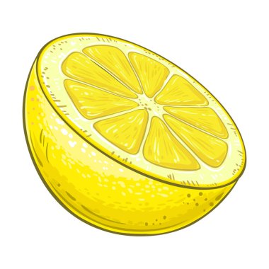 Limon Renkli Detaylı Resimler. Organik doğal besin maddeleri, vejetaryen diyet ürünleri. Tasarım veya dekorasyon için izole edilmiş vektör.