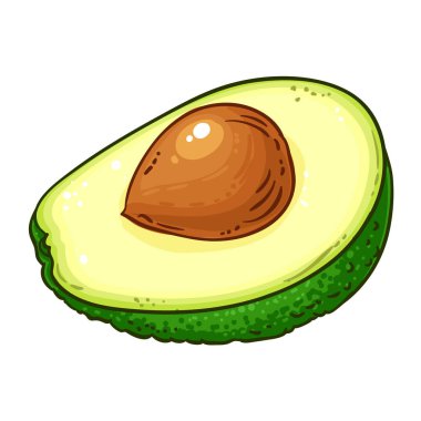 Tohum Renkli Ayrıntılı Resimli Avokado Meyvesi. Organik doğal besin maddeleri, vejetaryen diyet ürünleri. Tasarım veya dekorasyon için izole edilmiş vektör.