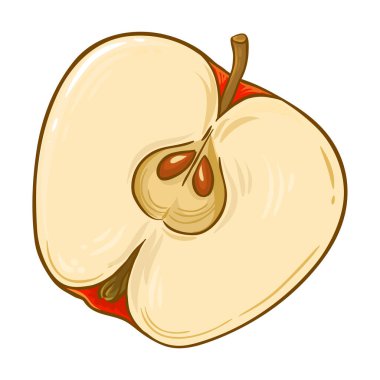 Apple Fruit Renkli Ayrıntılı Çizim. Organik doğal besin maddeleri, vejetaryen diyet ürünleri. Tasarım veya dekorasyon için izole edilmiş vektör.