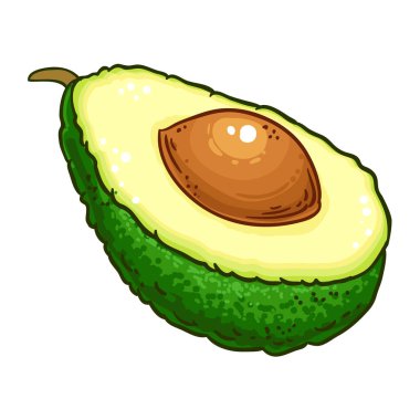 Tohum Renkli Ayrıntılı Resimli Avokado Meyvesi. Organik doğal besin maddeleri, vejetaryen diyet ürünleri. Tasarım veya dekorasyon için izole edilmiş vektör.