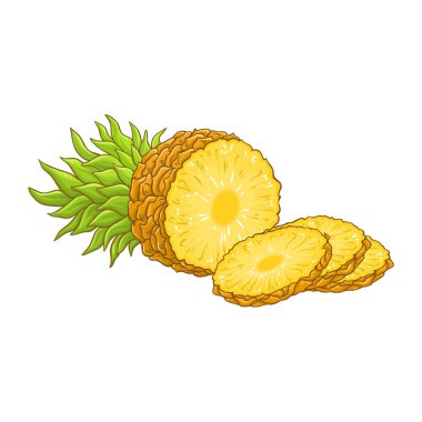 Ananas Renkli Detaylı Resimler. Organik doğal besin maddeleri, vejetaryen diyet ürünleri. Tasarım veya dekorasyon için izole edilmiş vektör.