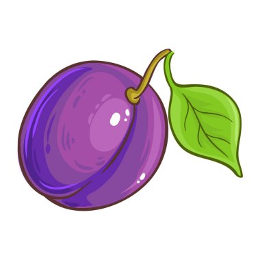 Erik Meyveli Detaylı Resimler. Organik doğal besin maddeleri, vejetaryen diyet ürünleri. Tasarım veya dekorasyon için izole edilmiş vektör.