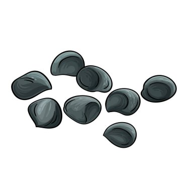 Calodendrum Tohumları Renkli Ayrıntılı Resimler. Tasarım veya dekorasyon için izole edilmiş vektör.