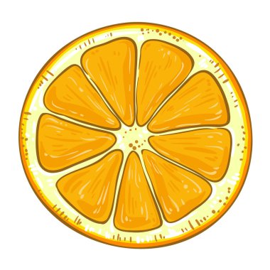 Portakal Renkli Detaylı Resimler. Organik doğal besin maddeleri, vejetaryen diyet ürünleri. Tasarım veya dekorasyon için izole edilmiş vektör.