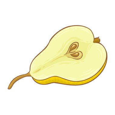 Armut Renkli Detaylı Resimler. Organik doğal besin maddeleri, vejetaryen diyet ürünleri. Tasarım veya dekorasyon için izole edilmiş vektör.