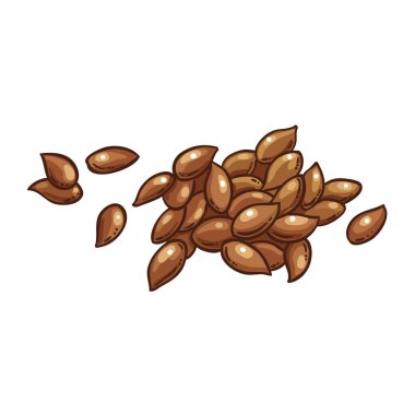 Flax Seeds Renkli Ayrıntılı Çizim. Tasarım veya dekorasyon için izole edilmiş vektör.