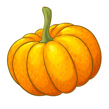 Balkabağı Renkli Detaylı Resimler. Organik doğal besin maddeleri, vejetaryen diyet ürünleri. Tasarım veya dekorasyon için izole edilmiş vektör.