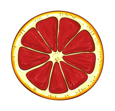 Kan Portakalı Renkli Detaylı Resimler. Organik doğal besin maddeleri, vejetaryen diyet ürünleri. Tasarım veya dekorasyon için izole edilmiş vektör.