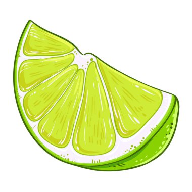 Limon Renkli Detaylı Çizim. Organik doğal besin maddeleri, vejetaryen diyet ürünleri. Tasarım veya dekorasyon için izole edilmiş vektör.