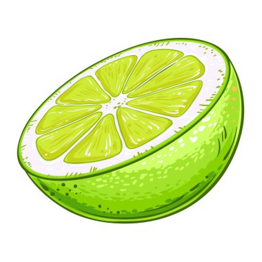 Limon Renkli Detaylı Çizim. Organik doğal besin maddeleri, vejetaryen diyet ürünleri. Tasarım veya dekorasyon için izole edilmiş vektör.