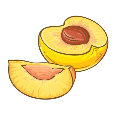 Şeftali Renkli Detaylı Resimler. Organik doğal besin maddeleri, vejetaryen diyet ürünleri. Tasarım veya dekorasyon için izole edilmiş vektör.