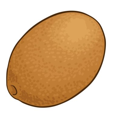 Cupuacu Fruit ve Renkli Detaylı Resimler. Organik doğal besin maddeleri, vejetaryen diyet ürünleri. Tasarım veya dekorasyon için izole edilmiş vektör.