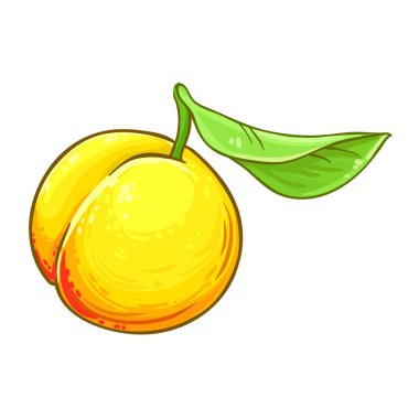 Şeftali Renkli Detaylı Resimler. Organik doğal besin maddeleri, vejetaryen diyet ürünleri. Tasarım veya dekorasyon için izole edilmiş vektör.