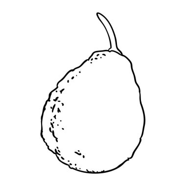 Avokado Fruit Outline Illustration. Organik doğal besin maddeleri, vejetaryen diyet ürünleri. Tasarım veya dekorasyon için izole edilmiş vektör.