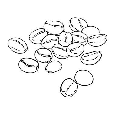 Kahve Tohumları Taslak Çizimi. Organik doğal besin bileşeni. Tasarım veya dekorasyon için izole edilmiş vektör.