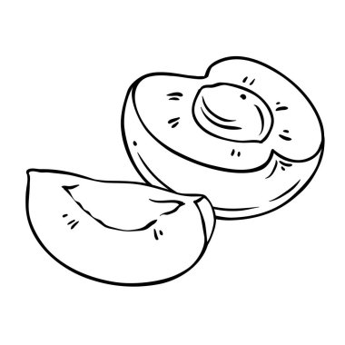 Kayısı Fruit Outline Illustration. Organik doğal besin maddeleri, vejetaryen diyet ürünleri. Tasarım veya dekorasyon için izole edilmiş vektör.