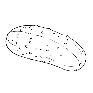 Salatalık Sebze Taslak Çizimi. Organik doğal besin maddeleri, vejetaryen diyet ürünleri. Tasarım veya dekorasyon için izole edilmiş vektör.