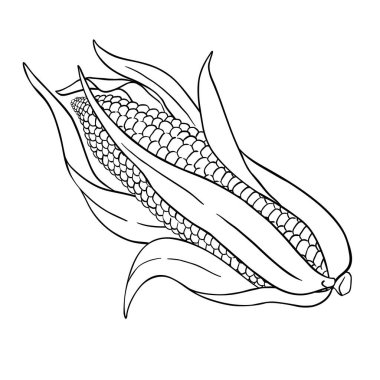 Cob Outline Illustration 'ın mısırı. Organik doğal besin maddeleri, vejetaryen diyet ürünleri. Tasarım veya dekorasyon için izole edilmiş vektör.