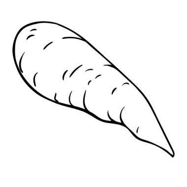 Havuç Kökü Tasviri. Organik doğal besin maddeleri, vejetaryen diyet ürünleri. Tasarım veya dekorasyon için izole edilmiş vektör.