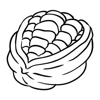 Kakao Fasulyesi Çizimi. Organik doğal besin maddeleri, vejetaryen diyet ürünleri. Tasarım veya dekorasyon için izole edilmiş vektör.