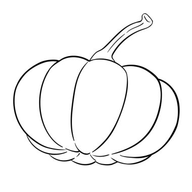 Balkabağı Fruits and Leaves Outline Illustration dergisi. Organik doğal besin maddeleri, vejetaryen diyet ürünleri. Tasarım veya dekorasyon için izole edilmiş vektör.