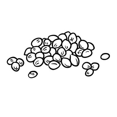 Kişniş tohumu taslağı. Organik doğal beslenme baharatı, vejetaryen diyet ürünü. Tasarım veya dekorasyon için izole edilmiş vektör.