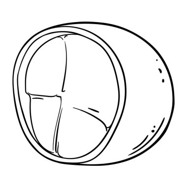 Cupuacu Fruit ve Outline Illustration. Organik doğal besin maddeleri, vejetaryen diyet ürünleri. Tasarım veya dekorasyon için izole edilmiş vektör.