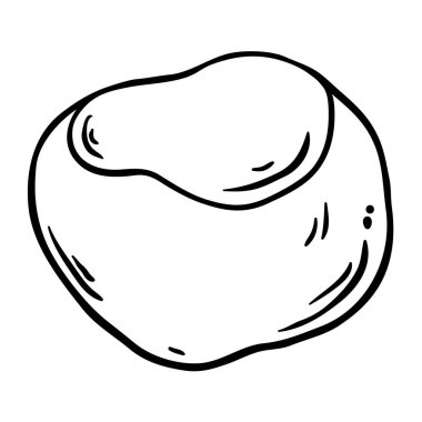 Kestane Cevizi Tasviri. Tasarım veya dekorasyon için izole edilmiş vektör.