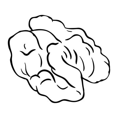 Ceviz Dış Hattı İllüstrasyonu. Organik doğal besin maddeleri, vejetaryen diyet ürünleri. Tasarım veya dekorasyon için izole edilmiş vektör.