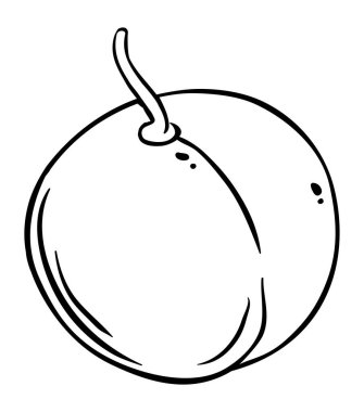 Şeftalili Fruit Tasviri. Organik doğal besin maddeleri, vejetaryen diyet ürünleri. Tasarım veya dekorasyon için izole edilmiş vektör.