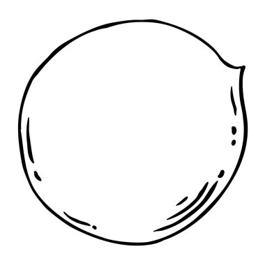 Ceviz Dış Hattı İllüstrasyonu. Organik doğal besin maddeleri, vejetaryen diyet ürünleri. Tasarım veya dekorasyon için izole edilmiş vektör.