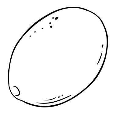 Cupuacu Fruit ve Outline Illustration. Organik doğal besin maddeleri, vejetaryen diyet ürünleri. Tasarım veya dekorasyon için izole edilmiş vektör.