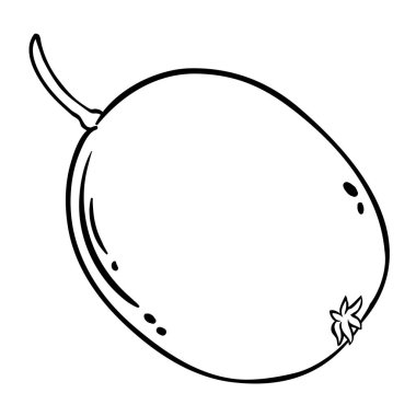 Kiwi Fruit Tasviri. Organik doğal besin maddeleri, vejetaryen diyet ürünleri. Tasarım veya dekorasyon için izole edilmiş vektör.