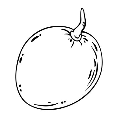 Mango Fruits Outline Illustration dergisi. Organik doğal besin maddeleri, vejetaryen diyet ürünleri. Tasarım veya dekorasyon için izole edilmiş vektör.