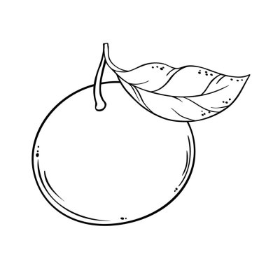 Tangerine Fruit Tasviri. Organik doğal besin maddeleri, vejetaryen diyet ürünleri. Tasarım veya dekorasyon için izole edilmiş vektör.