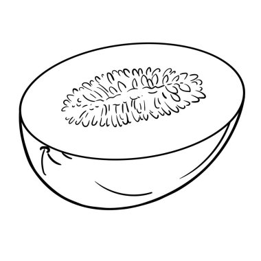 Kavun Meyvesi Çizimi. Organik doğal besin maddeleri, vejetaryen diyet ürünleri. Tasarım veya dekorasyon için izole edilmiş vektör.