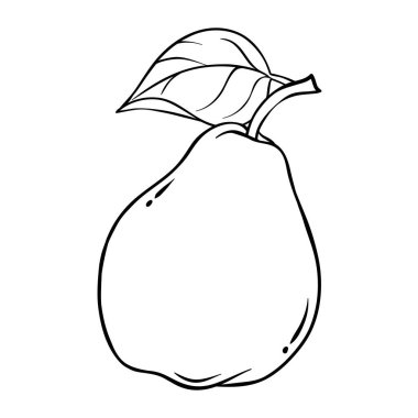 Armut Fruit Tasviri. Organik doğal besin maddeleri, vejetaryen diyet ürünleri. Tasarım veya dekorasyon için izole edilmiş vektör.