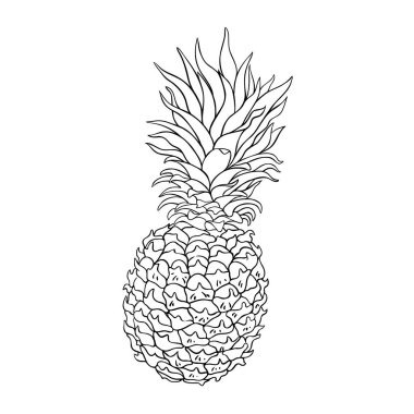Ananas Fruit Outline Illustration. Organik doğal besin maddeleri, vejetaryen diyet ürünleri. Tasarım veya dekorasyon için izole edilmiş vektör.